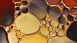 Einstein  teorisi analizi