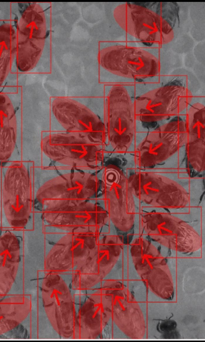 ODTÜ Hayvan-Robot Etkileşim Laboratuvarı Stajyer Arıyor!