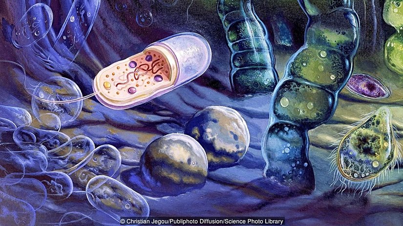 Hücrelerin ne yolla oluştuğu henüz bilinmiyor.