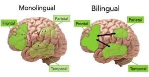 Bilingualism Boosts Learning Outcomes For Kids