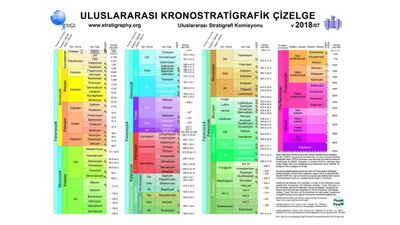 Paleosen