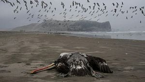 Surging Avian Influenza Cases Heighten Global Health Concerns