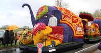 Kijk hier live naar Bloemencorso Bollenstreek