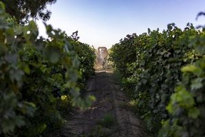 Farmworker Crisis Deepens As Climate And Policy Collide