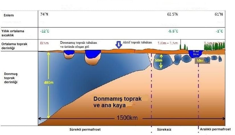 Sürekli donmuş ve yıl içinde çözülebilen toprakların enlemlere göre kalınlık değerleri. Görselde ki yazılar, Evrim Ağacı tarafından Türkçeye çevrilmiştir.