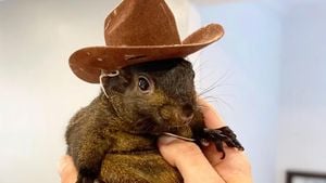 Peanut The Squirrel Captivates Hearts Amid Controversy