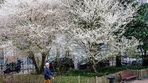 Spring Arrives In France On March 20 Amid Varied Weather