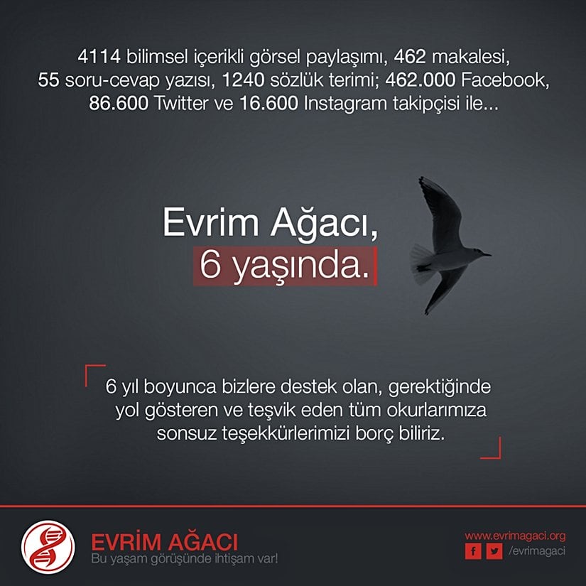 5 Kasım 2016'da Evrim Ağacı 6 yaşını doldurdu.