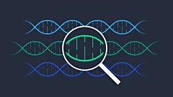 Genetik Tekniklerin Evrimi: Geçmiş, Bugün ve Ötesi