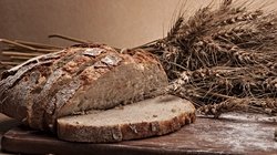 Ekmeğin kutsal sayılmasının sebepleri nelerdir?