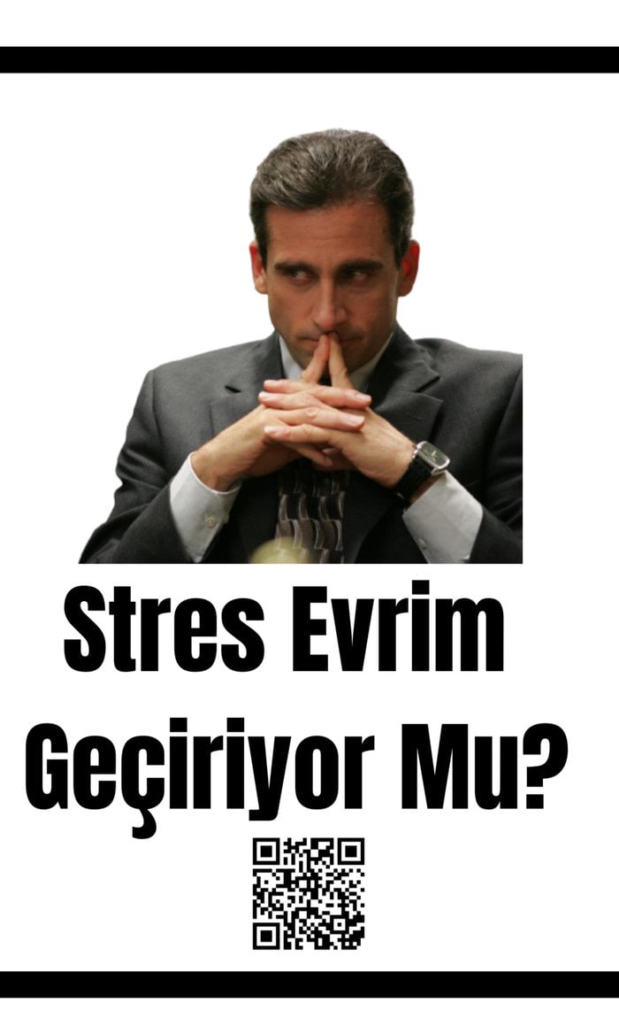 Evrimsel Stres (Türkiye Örneklemi)