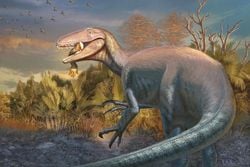 Arjantin’de Yeni Dinozor Türü Keşfi: Ağzında Timsah Kemiğiyle Bulunan Joaquinraptor Casali.