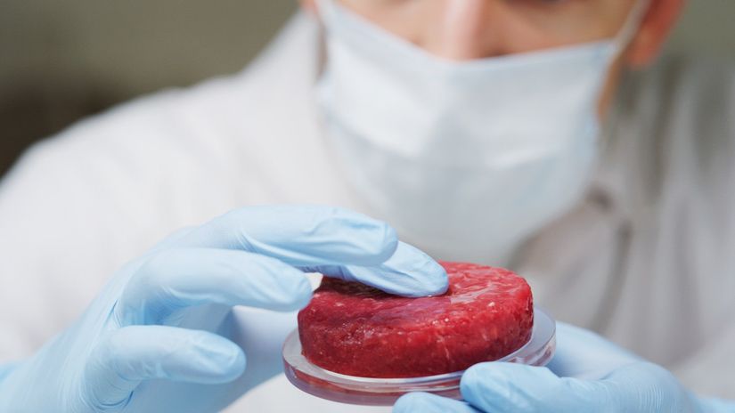 Et tüketimi konusunda insanlık arasında fikir ayrılıkları olsa da et, çoğunlukla tüketilen ve sağlık için önerilen besinler arasında. Yüksek protein kaynağı olan et, besin değeri son derece yüksek bir yiyecek. Hâl böyleyken et tüketimi önerilse de kaynakların hızla tükenmesi, gelecekte bu durumun nasıl çözüme kavuşturulacağı konusunda endişe yaşanmasına neden oluyor. Gelecek nesillerin de protein ihtiyacını karşılamasını garanti altına almak isteyen bilim insanları, tamamen laboratuvar ortamında yapay eti ideal şekilde üretmek için çalışmalarına devam ediyor.