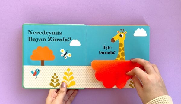 Neredeymiş Bay Aslan?