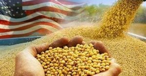 Vietnam And Us Boost Agricultural Trade With Billion Dollar Deals