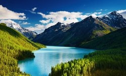 Hayvanların Estetik Anlayışı Var Mıdır?