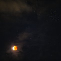 Neredeyse Tam Ay Tutulması