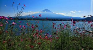 Japan Takes Down Mount Fuji Barrier To Foster Tourism Balance