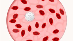 Kan grubu tayini nasıl yapılır?