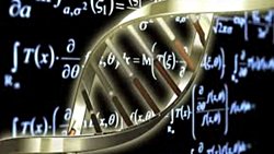 Fizik ve Anatomi:Bedenin Bilimi