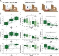 Generalization and extinction of platform-mediated avoidance in male and female rats - Scientific Reports