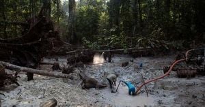 Interpol Arrests 225 In Major Latin America Crackdown