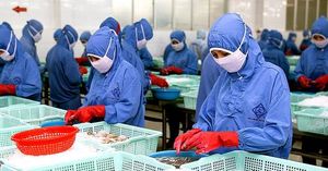 Vietnam's Shrimp Exports Surge Amid Global Challenges