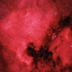 The North America and Pelican Nebulae