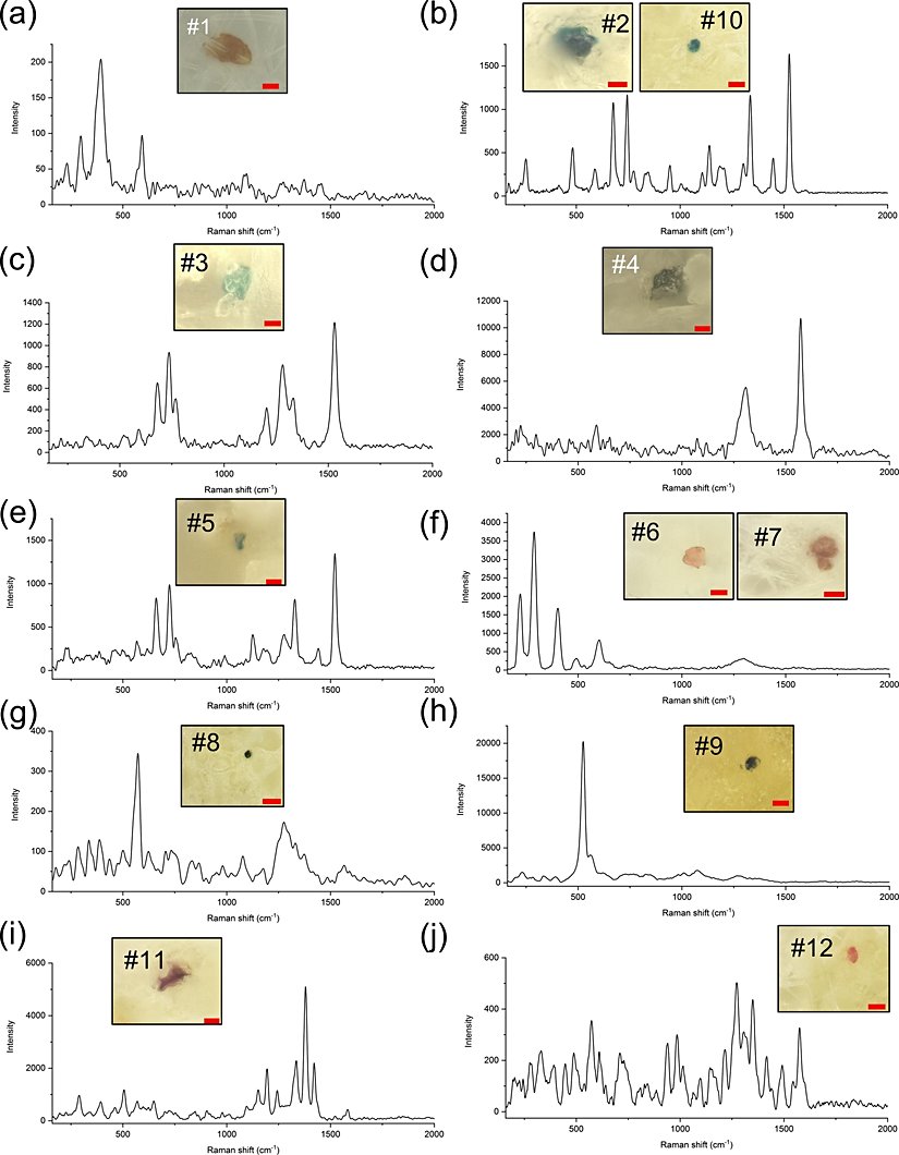 İnsan plasentasında bulunan mikroplastiklerin mikrofotoğrafları ve raman spektrumları.