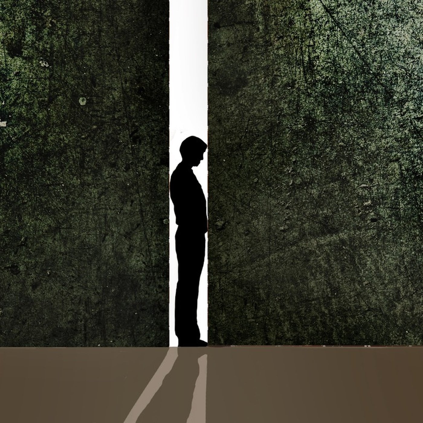 Evrim Ağacı ile Bilime Dair Her Şey!