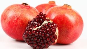 Study Reveals Ideal Harvest Timing For Wonderful Pomegranates