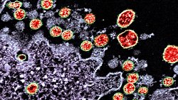 COVID-19: Daha Az Öldürücü, Daha Çok Bulaşıcı!