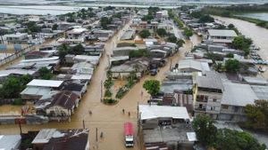 Ecuador Declares Emergency Amid Devastation From Heavy Rains