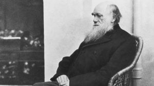 Charles Darwin'in Kendisinden Önce Gelenlerden Sentezlediği ve Kendi Bulgularıyla Geliştirdiği Evrim Teorisi'nin Kısa Bir Özeti
