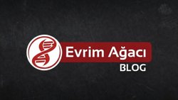 Güvenli Olmayan Güvenli Yer