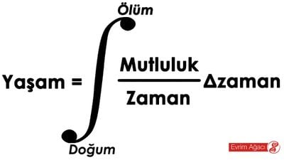 Türev ve İntegrali Gerçekten Anlamak: Türev Nedir? İntegral Nedir?