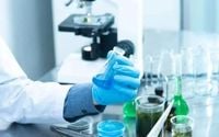 Mpox no longer a global public health emergency - WHO