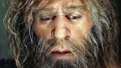 Neden Hala Neandertalleri Küçümsüyoruz?