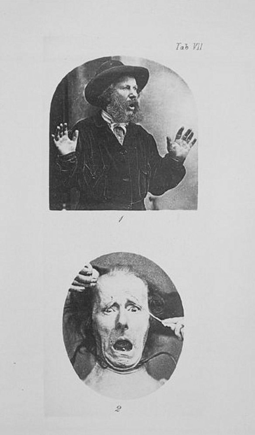 Şaşırma ve hayret, korku ve dehşet.