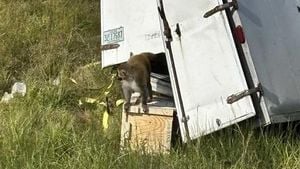 Mississippi Mother Kills Escaped Research Monkey In Yard