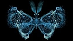 Kaos Teorisi Nedir? Doğadaki Kaostan Söz Ederken Neyi Kastediyoruz?