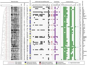 Multidrug-Resistant Klebsiella Pneumoniae Threatens Community Health