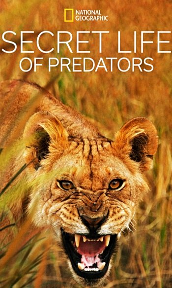 Yırtıcıların Gizli Dünyası