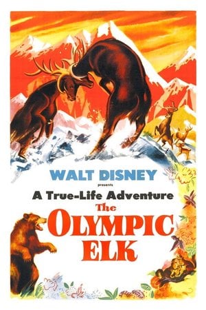 Olimpik Geyik