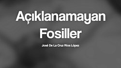 Meksika Peru'da bulunan mumya uzaylı mıydı?