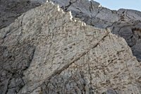 Dinosaur footprints discovered on Italian mountain