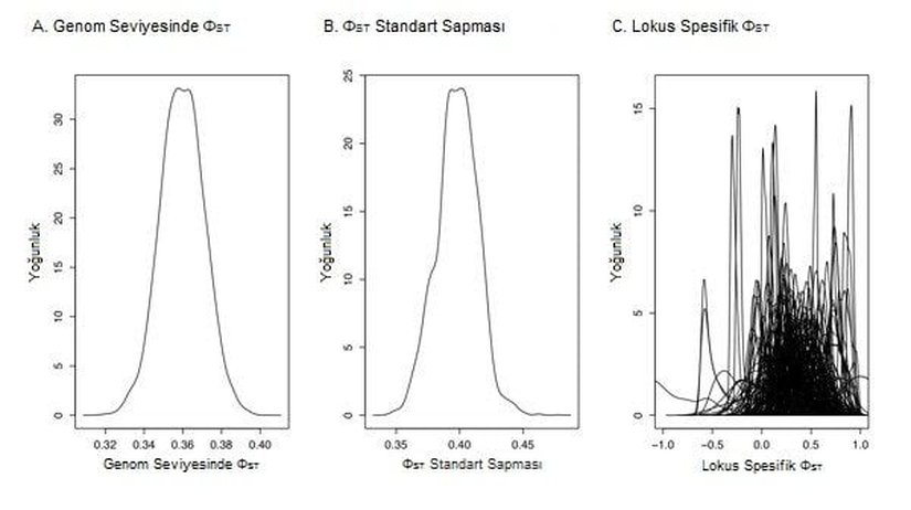 Şekil 3: Popülasyonların farklılaşmasının istatistiği, her bir lokusun farklılaşmasının yorumlanabilmesi için olasılıksal bir çerçeve sunan Bayes metoduyla tahmini olarak hesaplanabilir. Kuzey Amerika’daki Lycaeides kelebeği popülasyonları arasındaki farklılaşma tahminen hesaplanmış (Gompert ve ark. 2010) ve ΦST’nin genom seviyesinde tahminiyle (a) ve standart sapmasıyla (b) özetlenmiştir. Bu analiz, genom boyunca görülen, bir kısmı muhtemelen ıraksak doğal seçilim tarafından şekillendirilmiş olan yüksek varyasyonu resimlemektedir. 2010 Nature Education. Tüm hakları saklıdır.