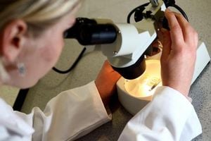 Climate Change Fuels Rapid Spread Of Fungal Infections