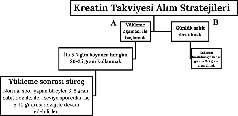 Kreatin takviyesinin tüketim stratejileri hakkında izlenmesi gereken adımlar için tabloyu inceleyebilirsiniz.
