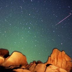 A Perseid Meteor